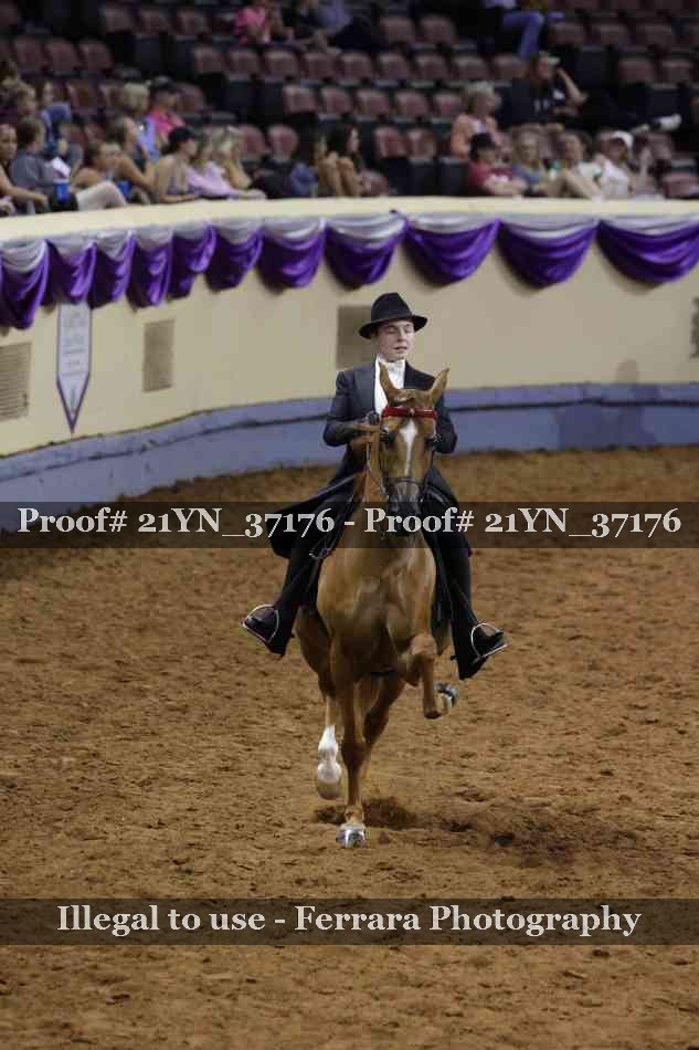 Proof 21YN_37176