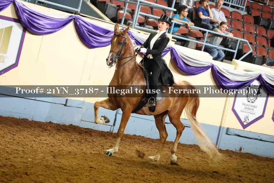 Proof 21YN_37187