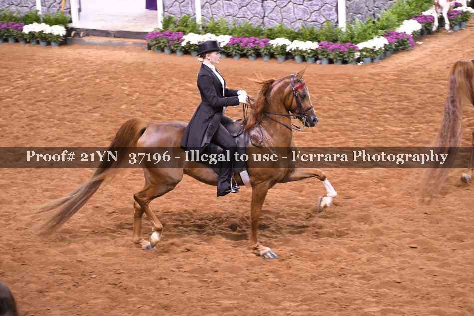 Proof 21YN_37196