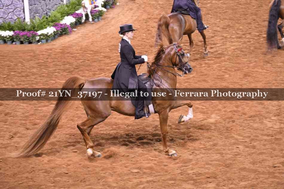 Proof 21YN_37197