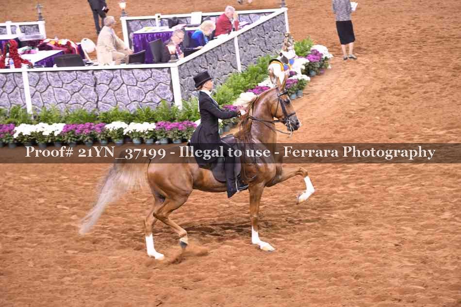 Proof 21YN_37199
