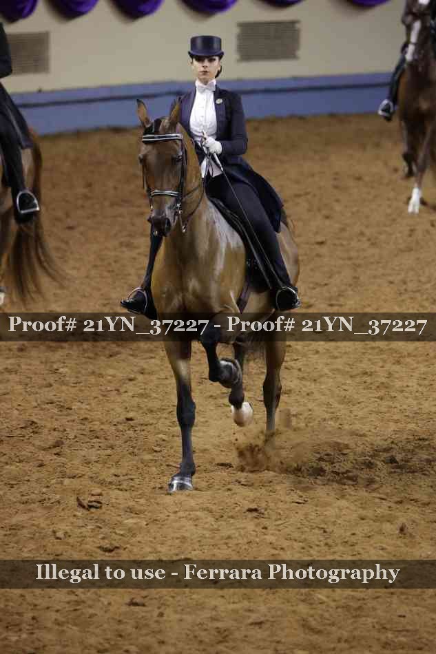 Proof 21YN_37227