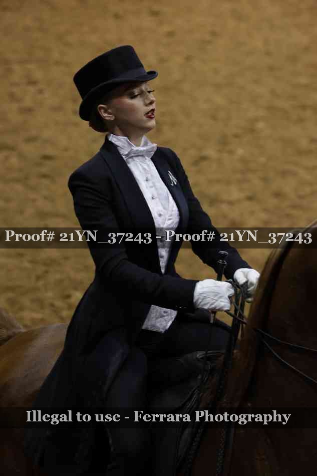 Proof 21YN_37243