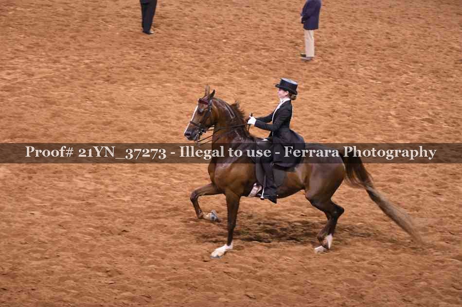 Proof 21YN_37273