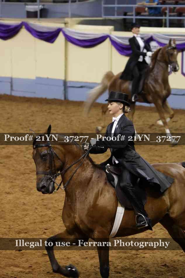 Proof 21YN_37277