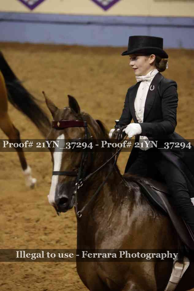 Proof 21YN_37294