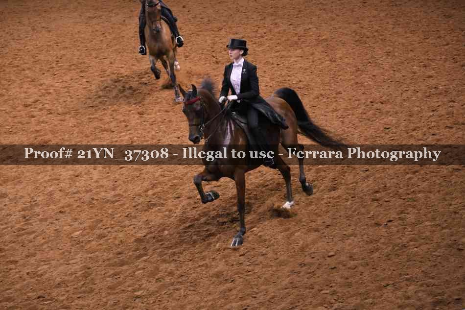Proof 21YN_37308