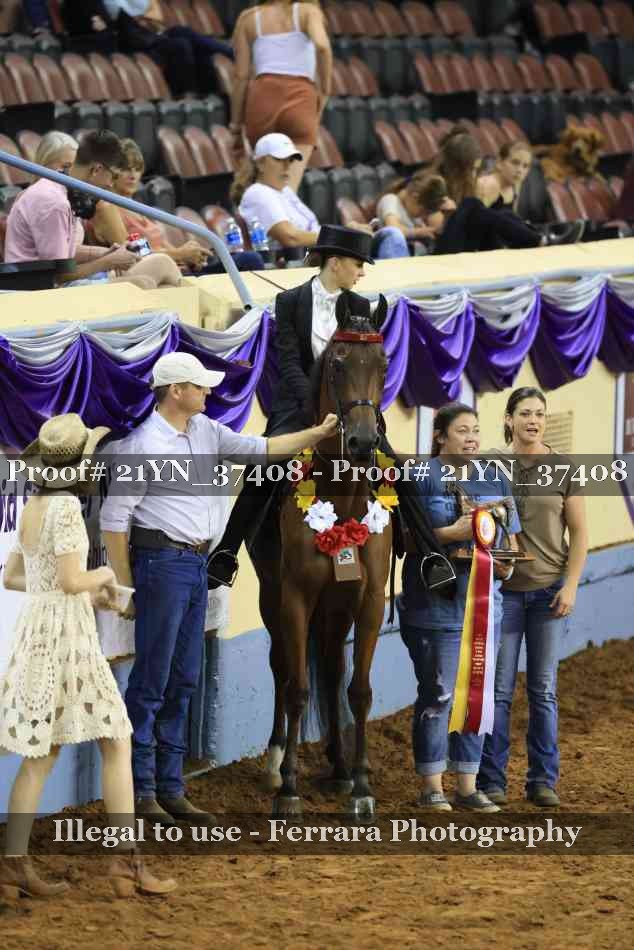 Proof 21YN_37408