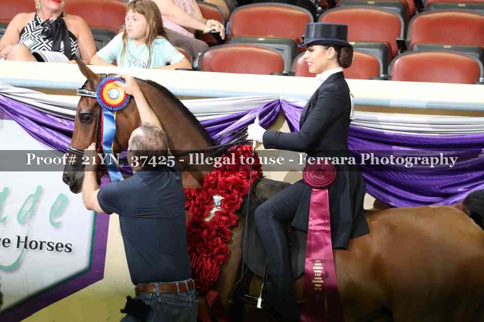 Proof 21YN_37425