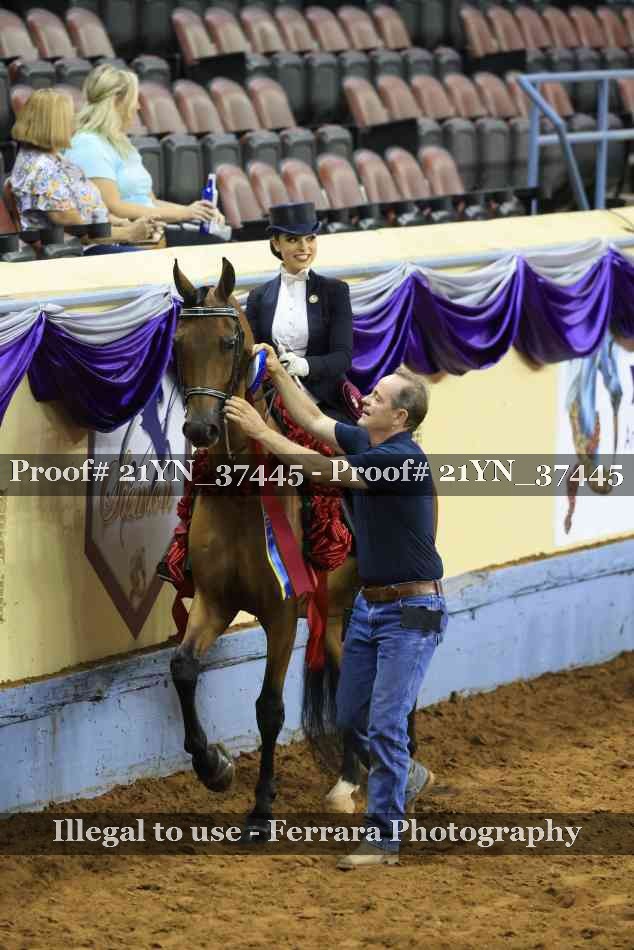 Proof 21YN_37445