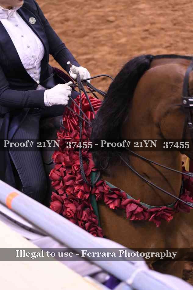 Proof 21YN_37455