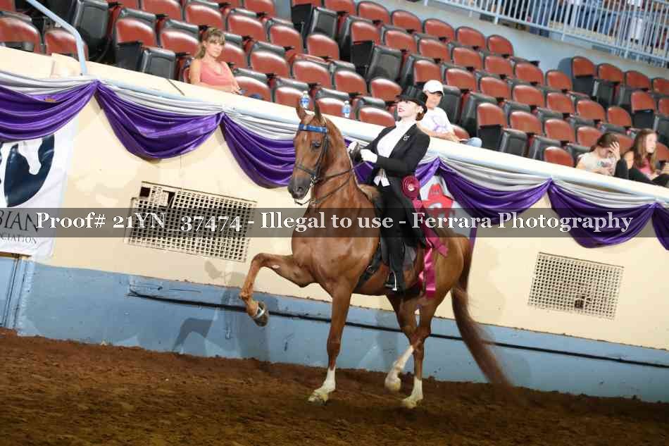 Proof 21YN_37474