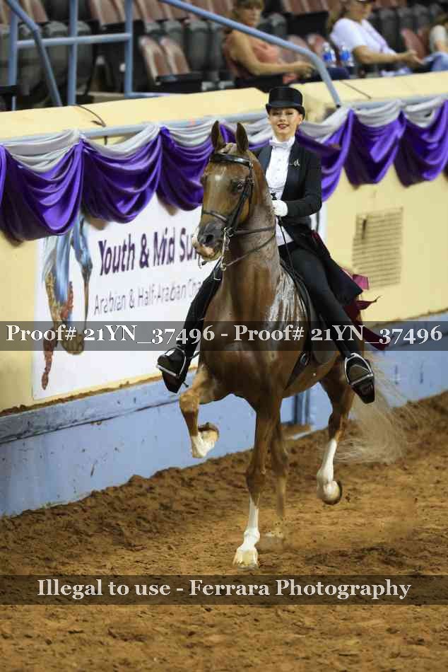 Proof 21YN_37496