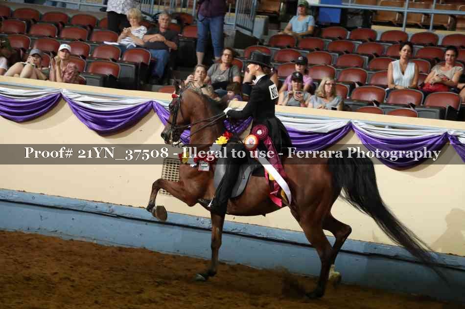 Proof 21YN_37508