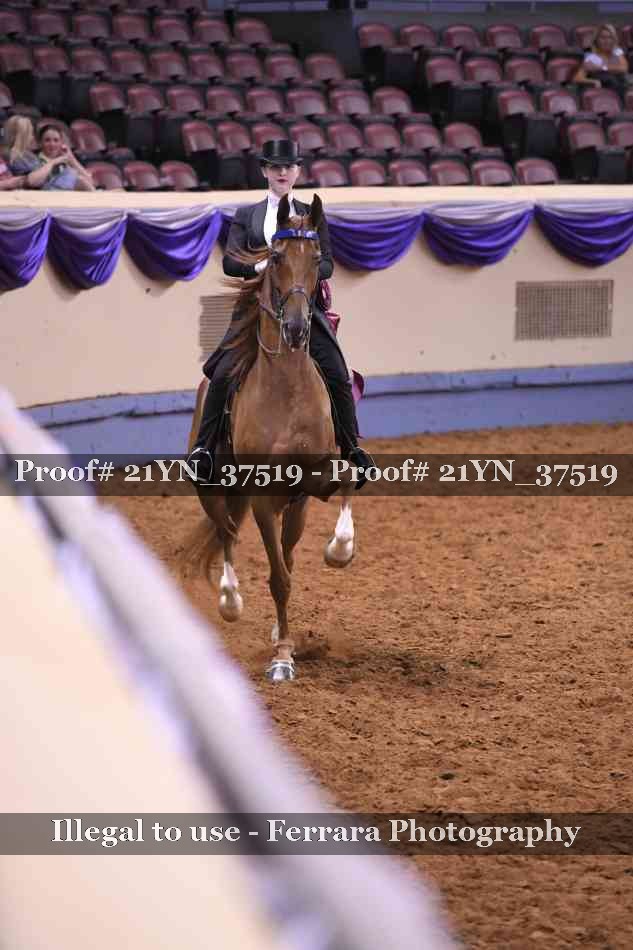 Proof 21YN_37519