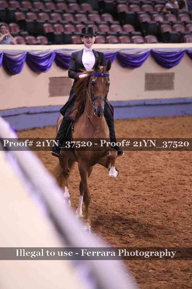 Proof 21YN_37520