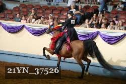 21YN_37526 proof