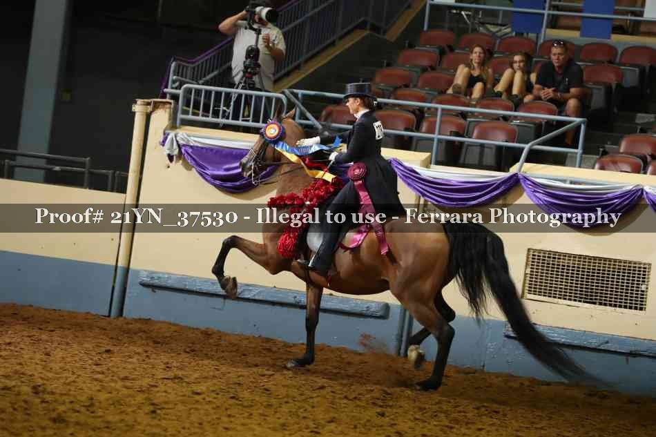 Proof 21YN_37530