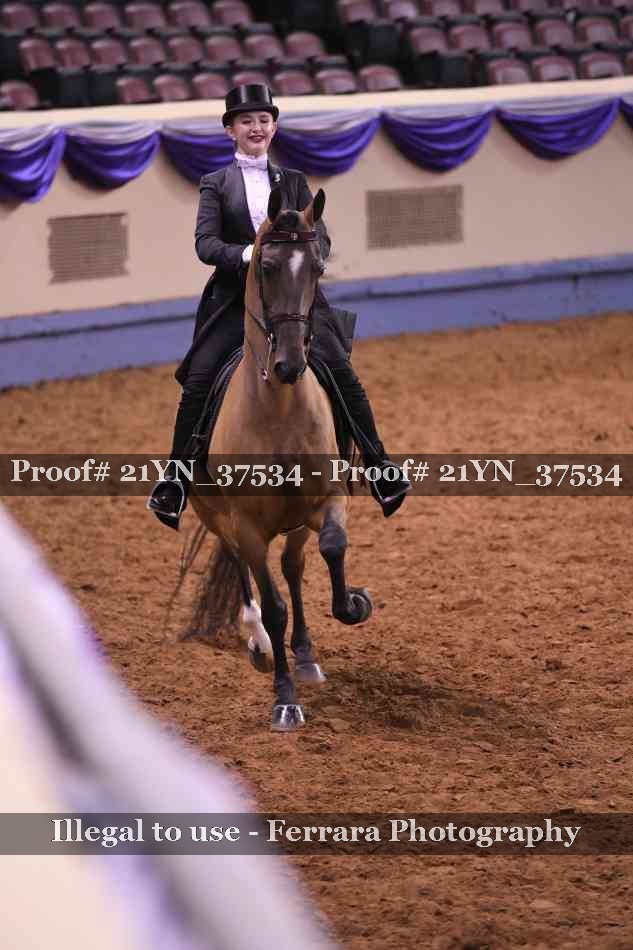 Proof 21YN_37534