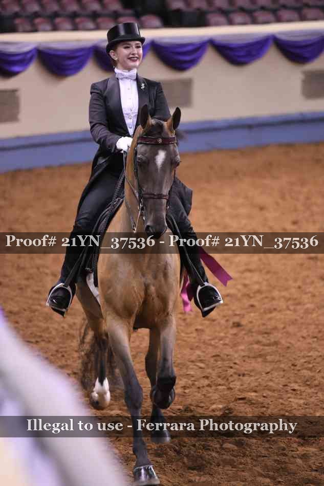 Proof 21YN_37536
