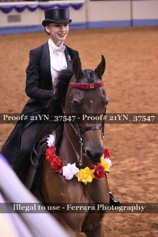 Proof 21YN_37547