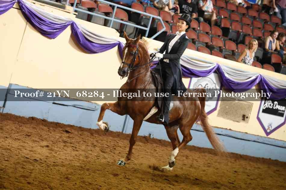 Proof 21YN_68284