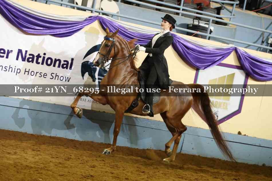 Proof 21YN_68295