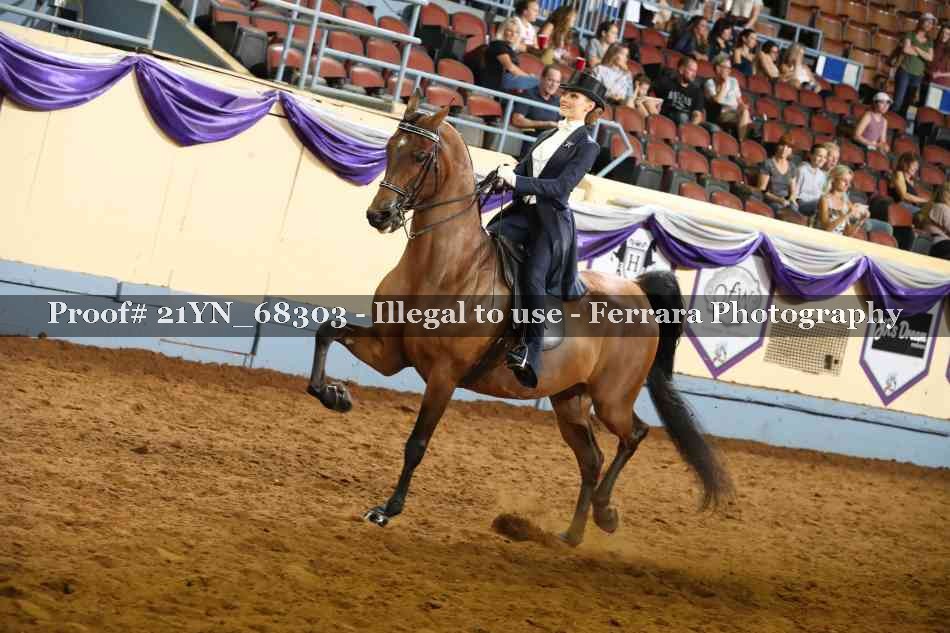 Proof 21YN_68303