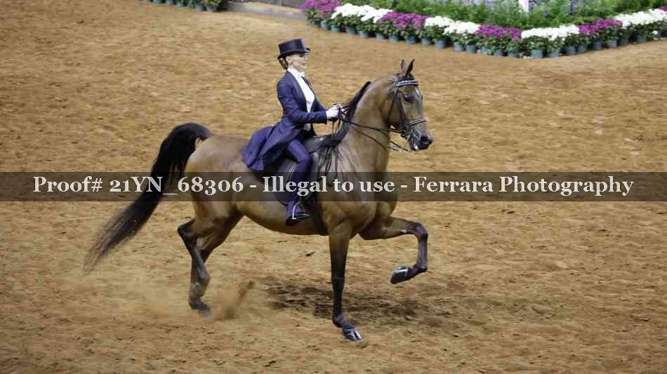 Proof 21YN_68306