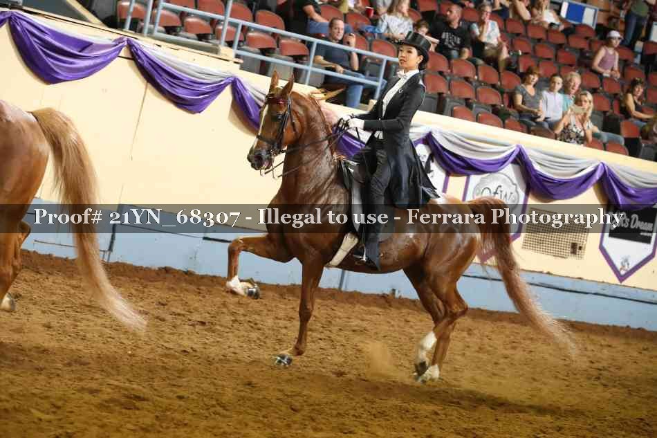 Proof 21YN_68307