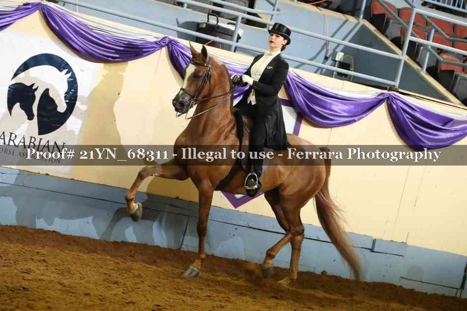 Proof 21YN_68311