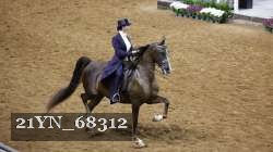 21YN_68312 proof