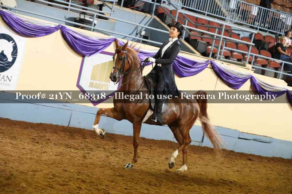 Proof 21YN_68318