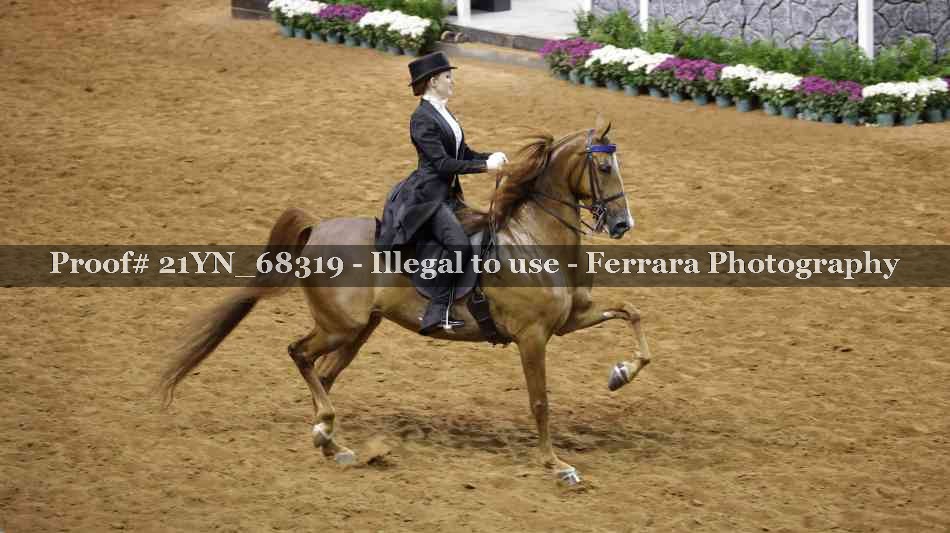 Proof 21YN_68319
