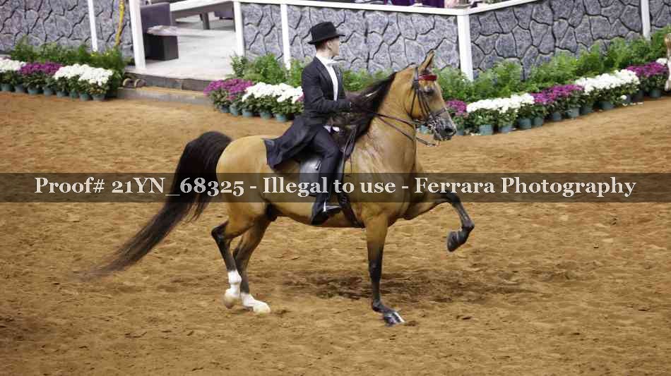Proof 21YN_68325