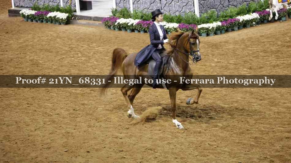 Proof 21YN_68331