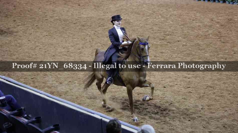Proof 21YN_68334