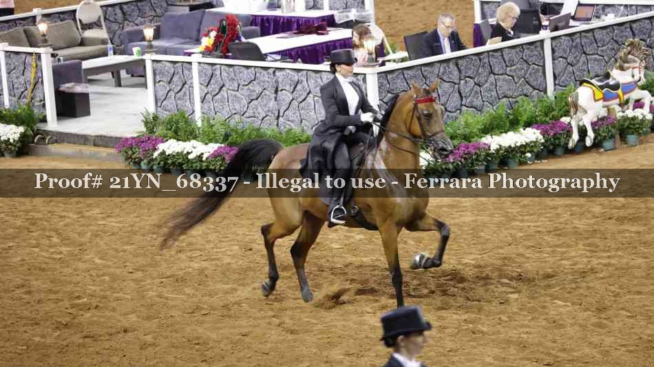 Proof 21YN_68337