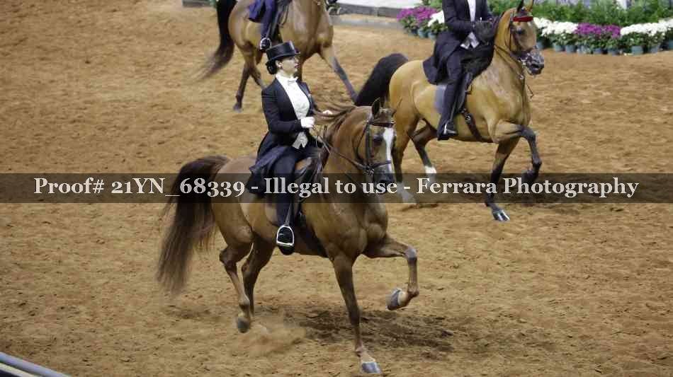 Proof 21YN_68339