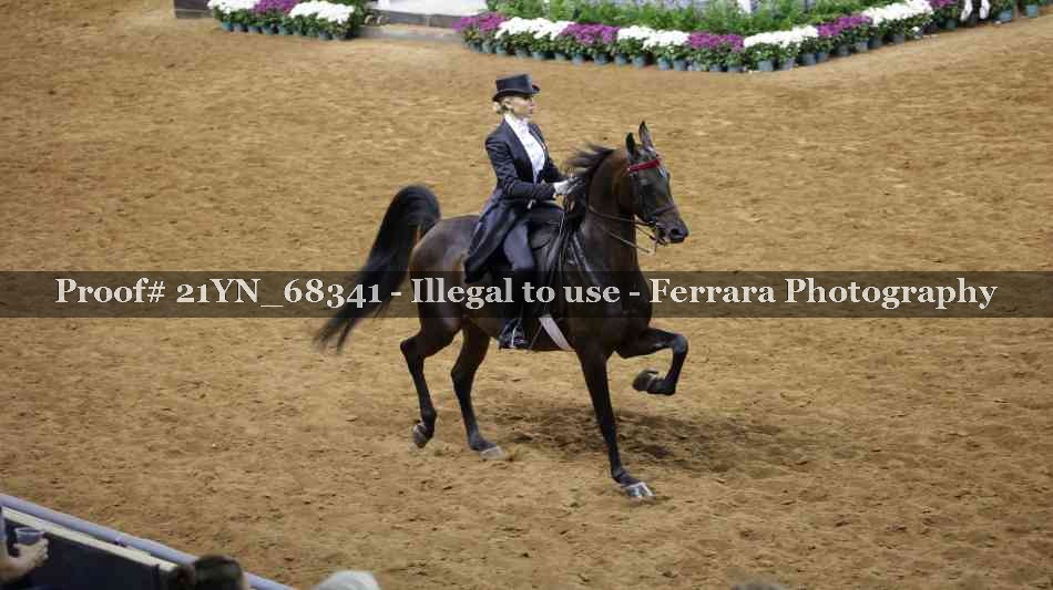 Proof 21YN_68341