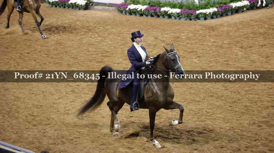 Proof 21YN_68345
