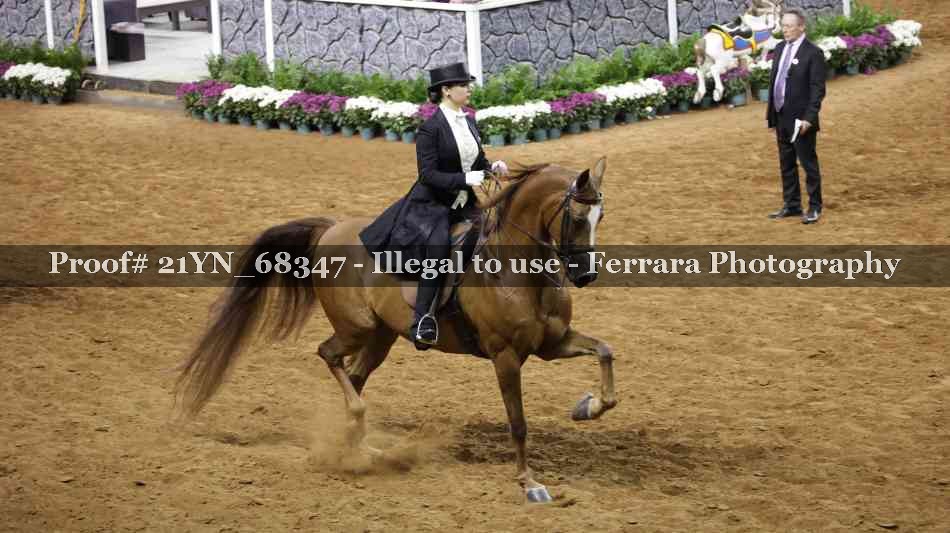 Proof 21YN_68347