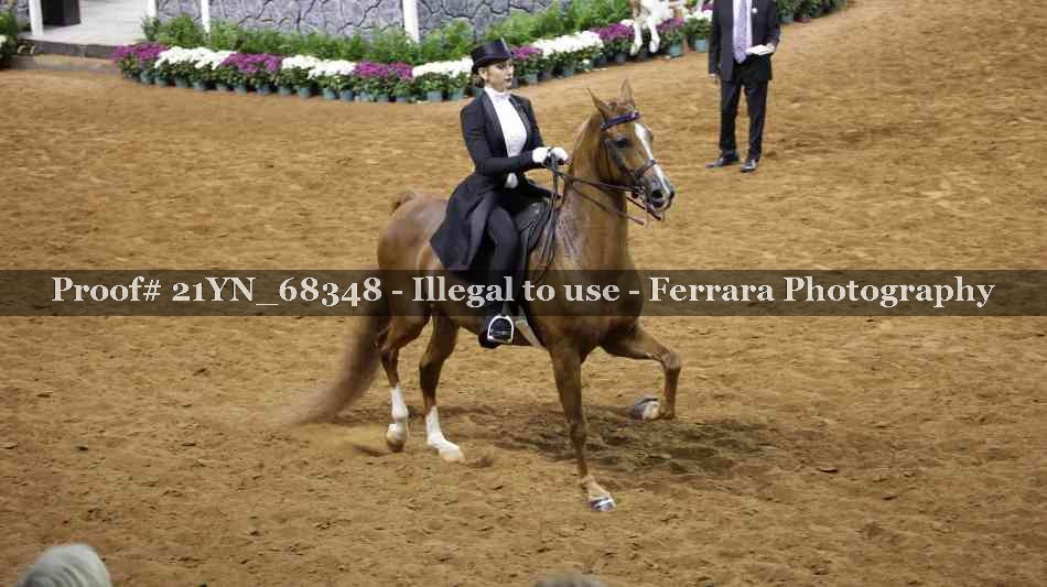Proof 21YN_68348