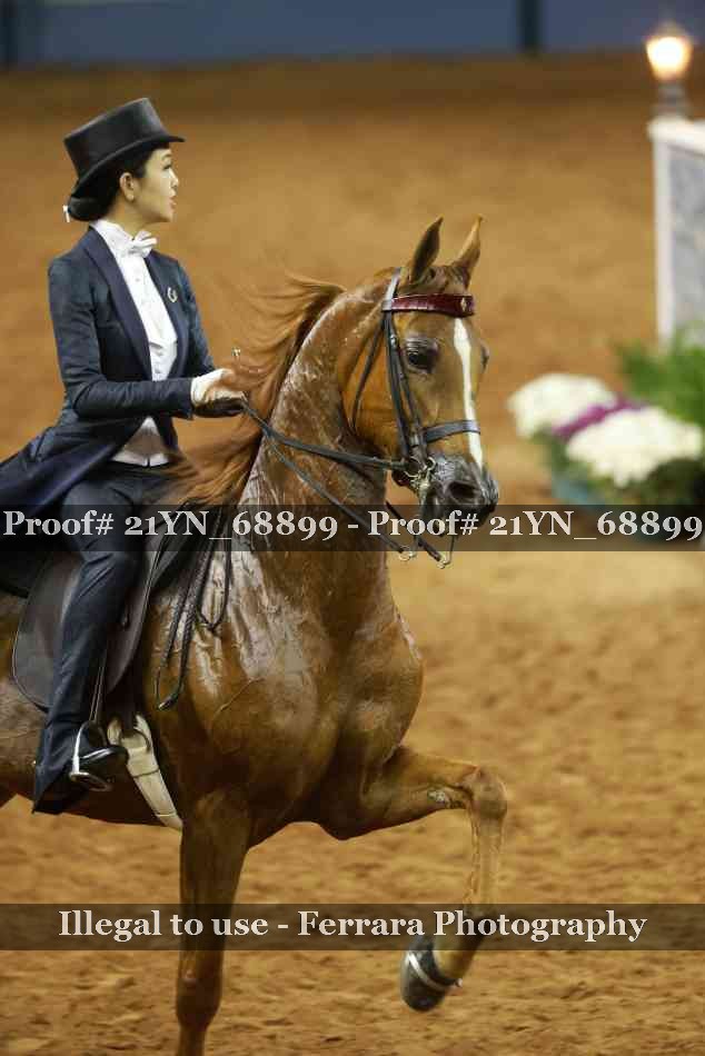 Proof 21YN_68899