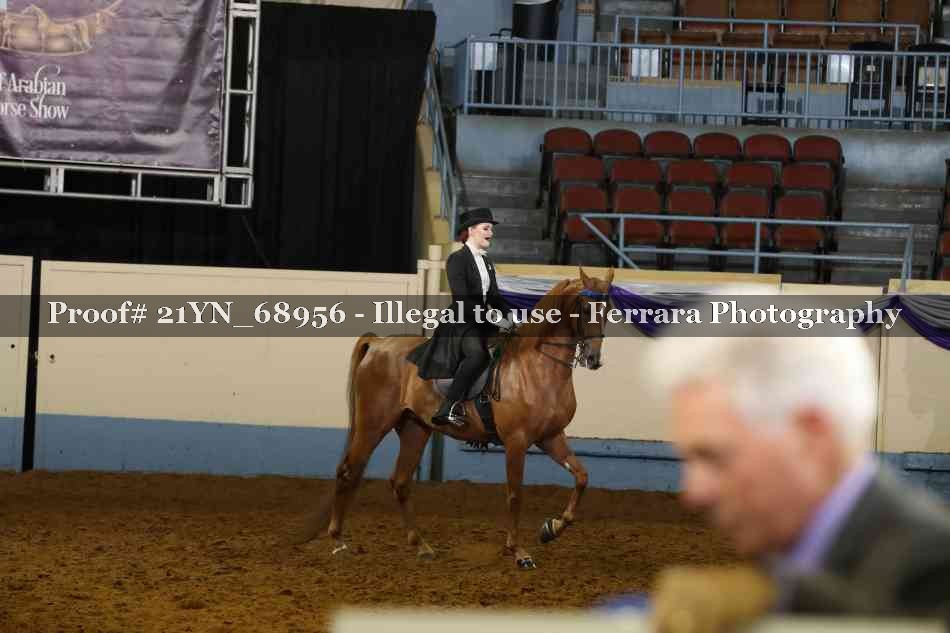 Proof 21YN_68956