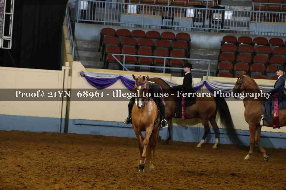 Proof 21YN_68961