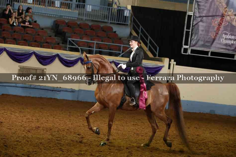 Proof 21YN_68966