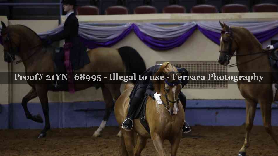 Proof 21YN_68995