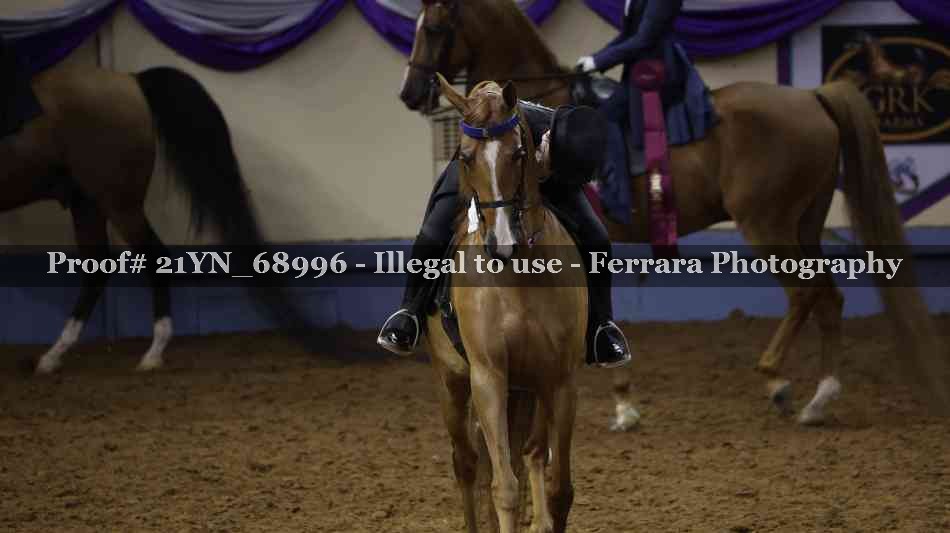 Proof 21YN_68996