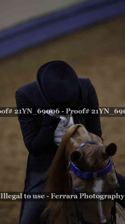 Proof 21YN_69006